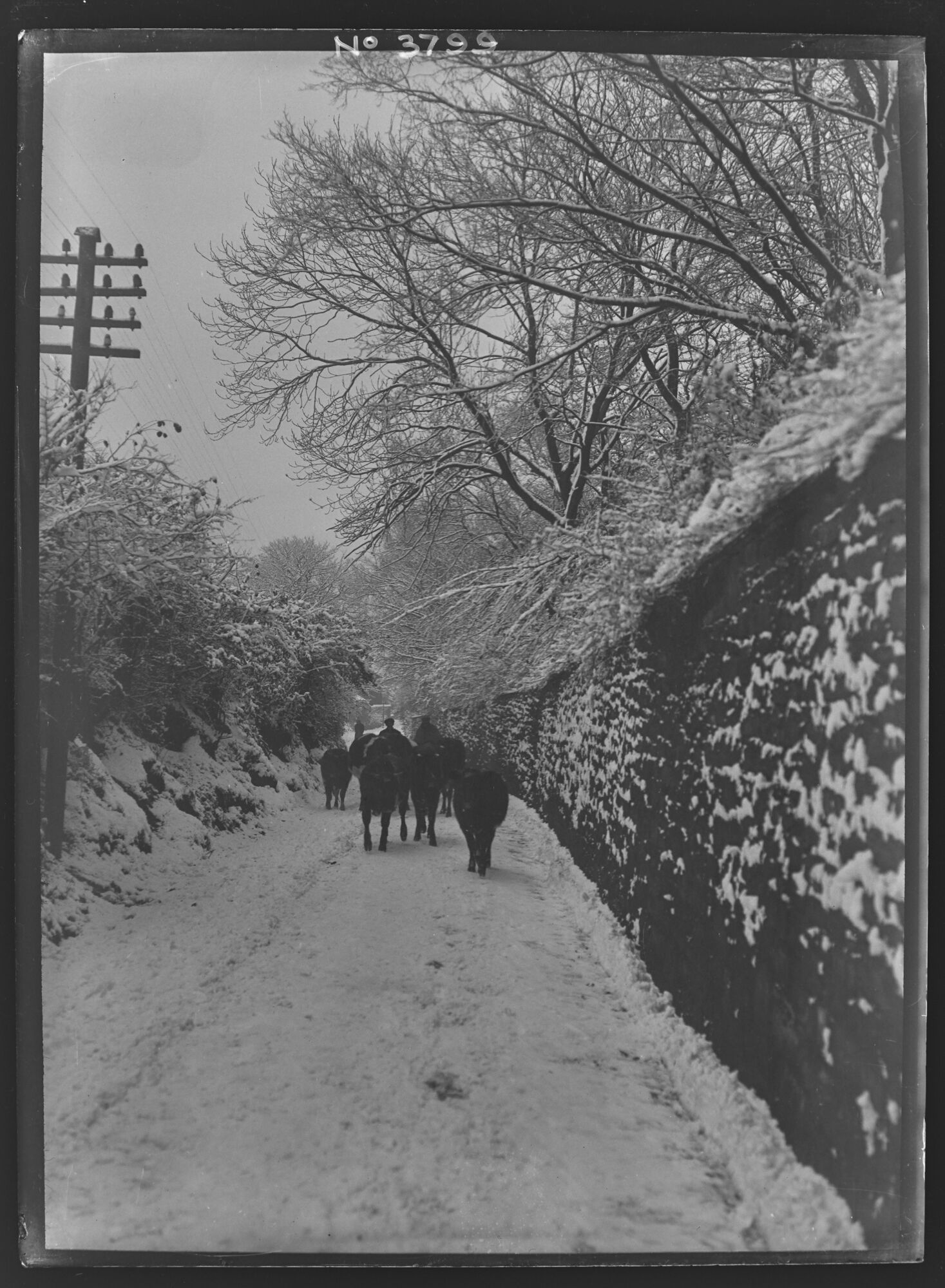 Snow scene, Barrow in Furness